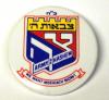 Tzivos Hashem Large Badge